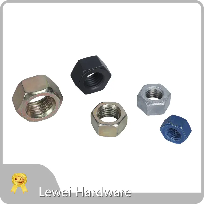 Non Standard Fastener M3-M100 by Lewei Hardware 1