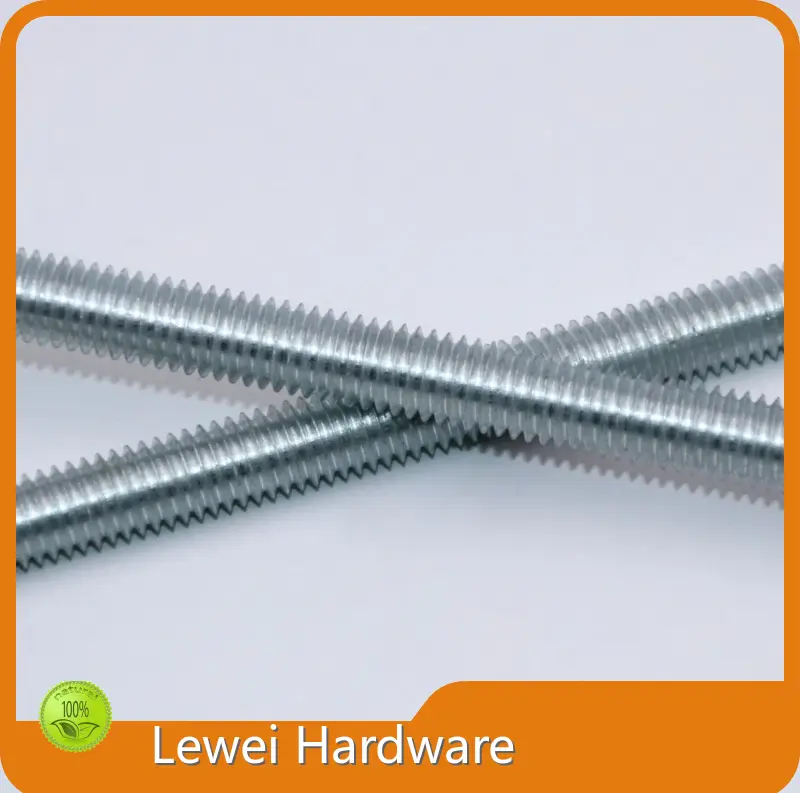 Bestcustom Bolt Manufacturer Hot Galvanizing LW 1