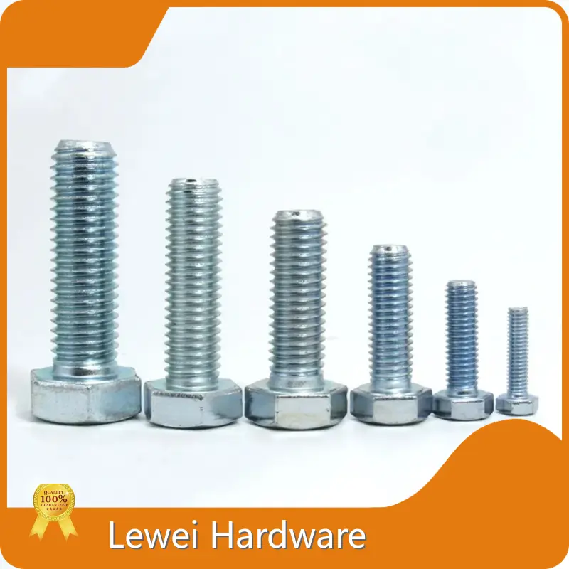 Best Custom Head Bolts 1