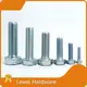 Best Custom Head Bolts 1
