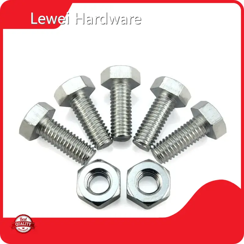Lewei Hardware Stainless Hex Head Bolts Feasible According to Customers Stainless Hex Head Boltssupply 1