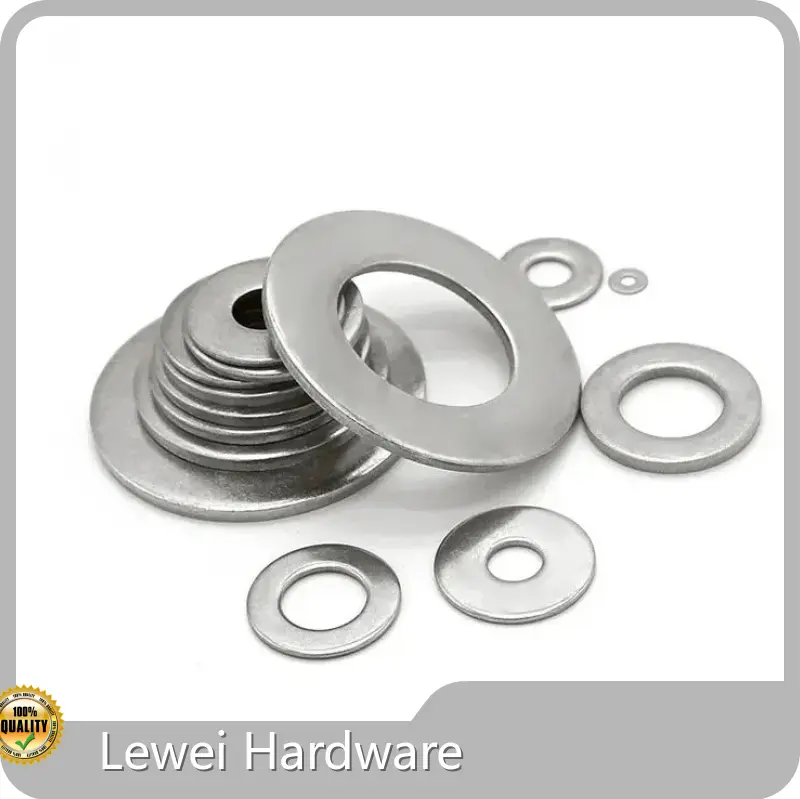 Lewei Hardware Non Standard Fastener Free Non Standard Fastenerfactory 1