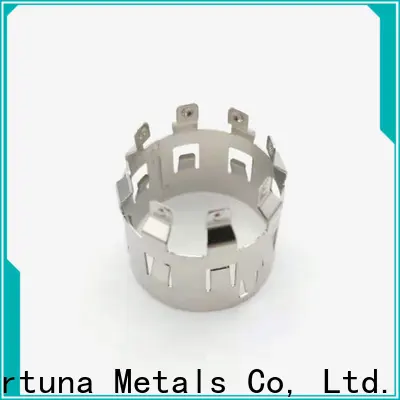 Fortuna moneda de metal ic para sujetar 1