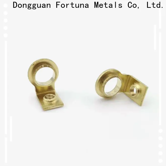 Fortuna 전기차용 정밀 자동차 부품 메이커 1