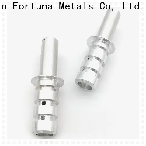 Fortuna ผู้ผลิตชิ้นส่วนรถยนต์คุณภาพสูงสำหรับรถยนต์ไฟฟ้า 1