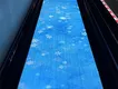高質量的保齡球館用品 10