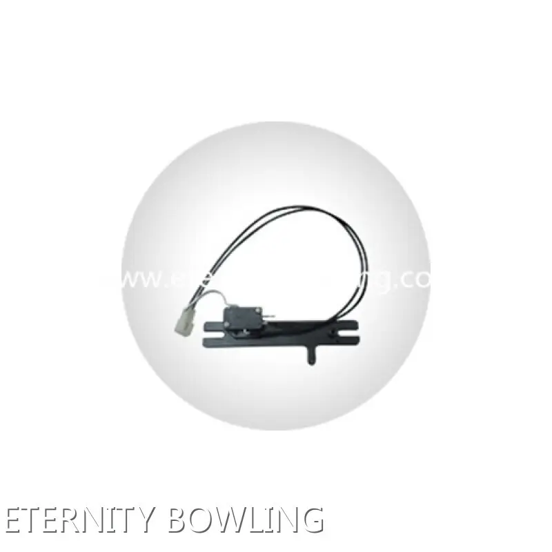 Alat Ganti Boling untuk Brunswick Alat Ganti Kegunaan untuk Mesin Boling Siri GS Borong - ETERNITY BOWLING-4 1