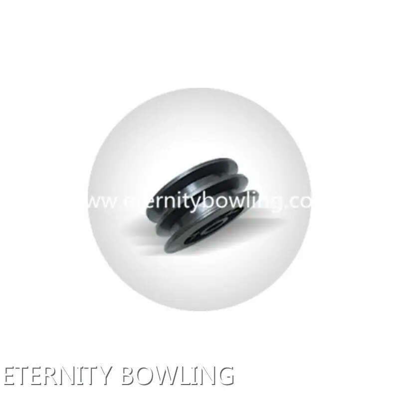 Alat Ganti Boling untuk Brunswick Bowling Borong - ETERNITY BOWLING-10 1