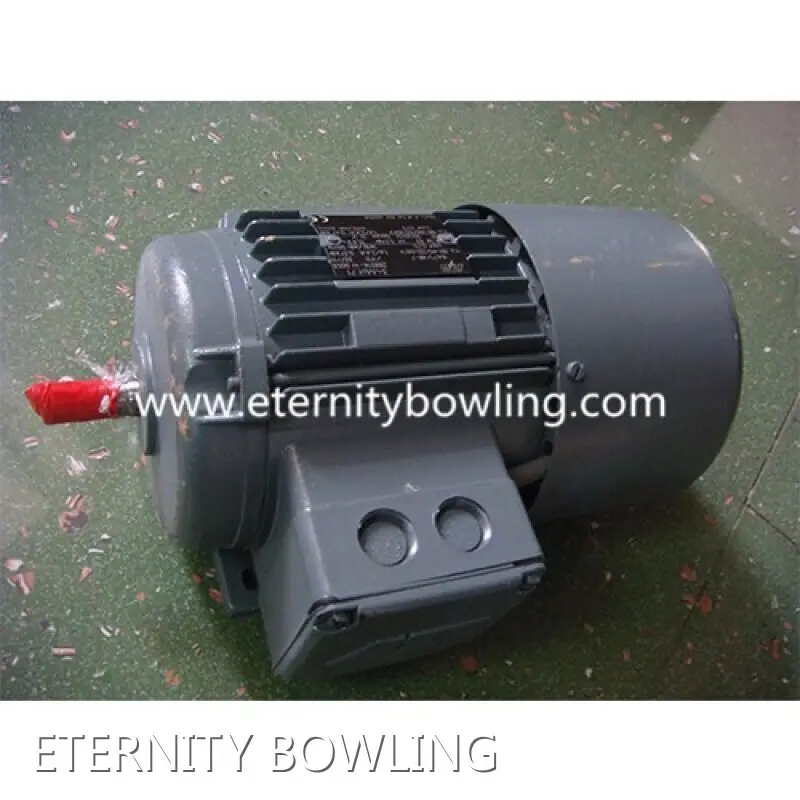 Alat Ganti Boling untuk Brunswick Bowling Borong - ETERNITY BOWLING-11 1