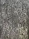 Embroidery Backing Paper From China 2