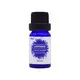 Puraeo wholesale essential oil suppliers for business for hair 6