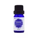Wholesale organic essential oils wellness set for business for face 5