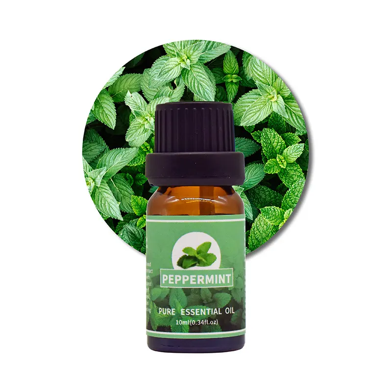 Best essential oil kit Supply for perfume 6