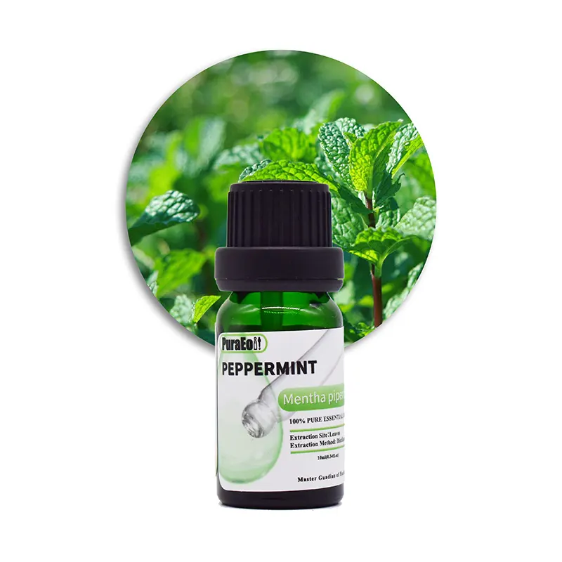 High-quality essential oils full set Suppliers for perfume 6