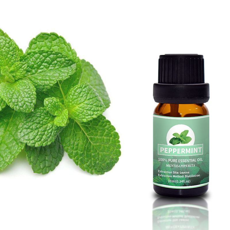 Puraeo Custom Peppermint Essential Oil For Skin Care Hair Growth 1
