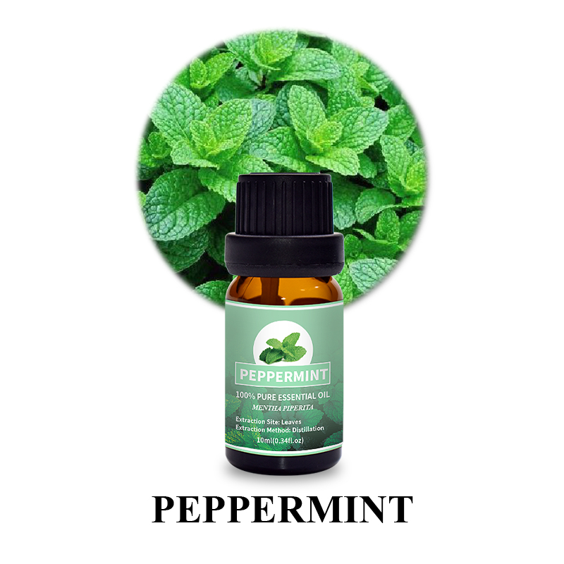 Puraeo Custom Peppermint Essential Oil For Skin Care Hair Growth 6