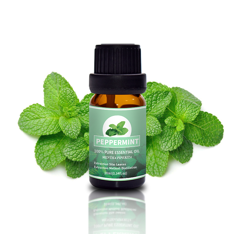 Puraeo Custom Peppermint Essential Oil For Skin Care Hair Growth 5