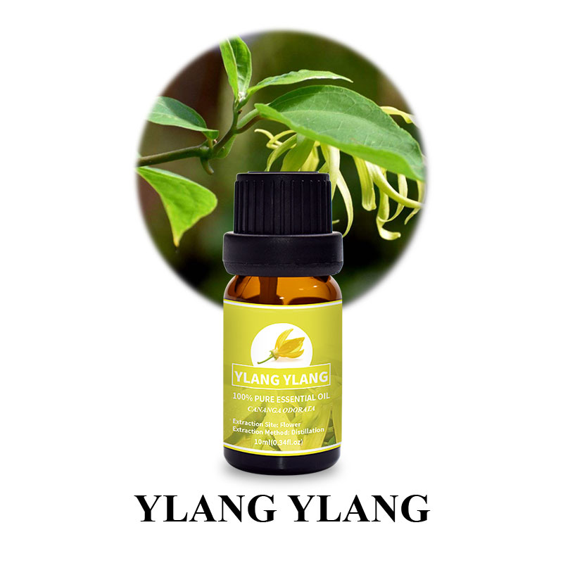 Puraeo Ylang Ylang Essential Oil Ylang Ylang Massage Oil 4