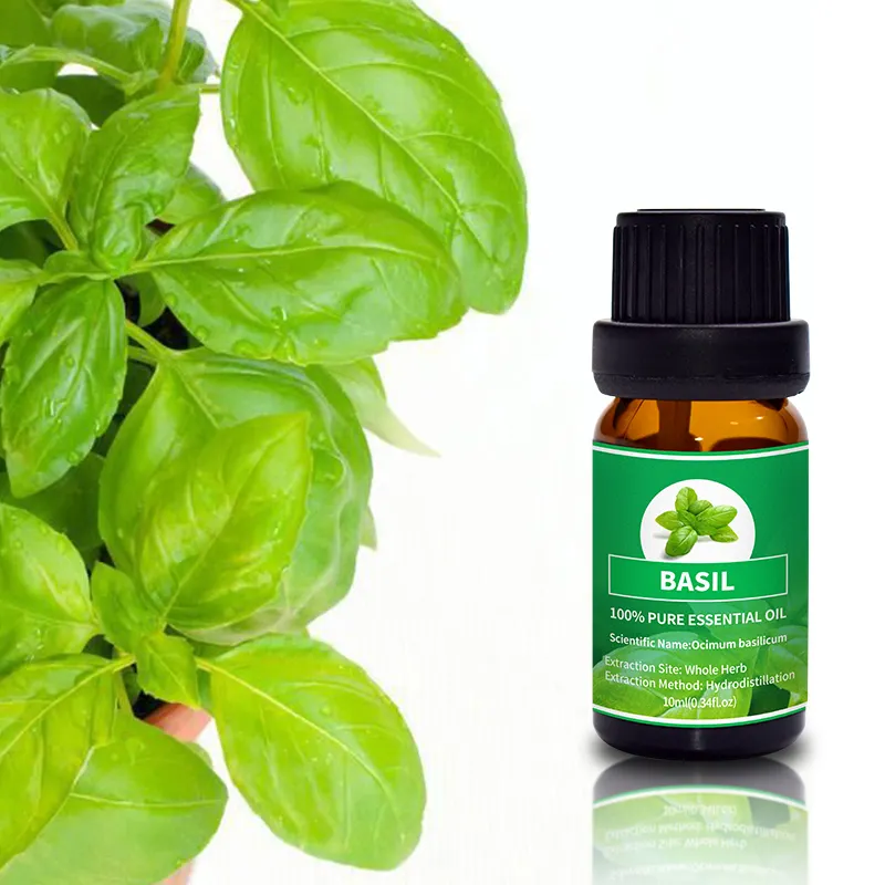 Puraeo best grapefruit oil company for perfume 5
