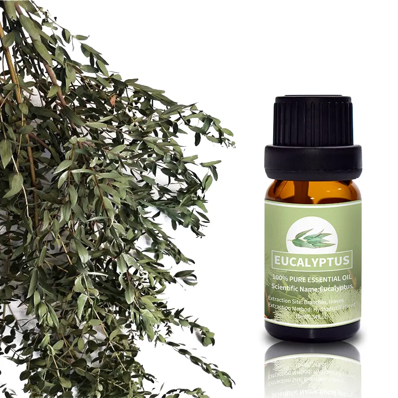 Puraeo best tea tree oil for skin Supply for massage 2