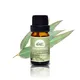 Puraeo best tea tree oil for skin Supply for massage 5