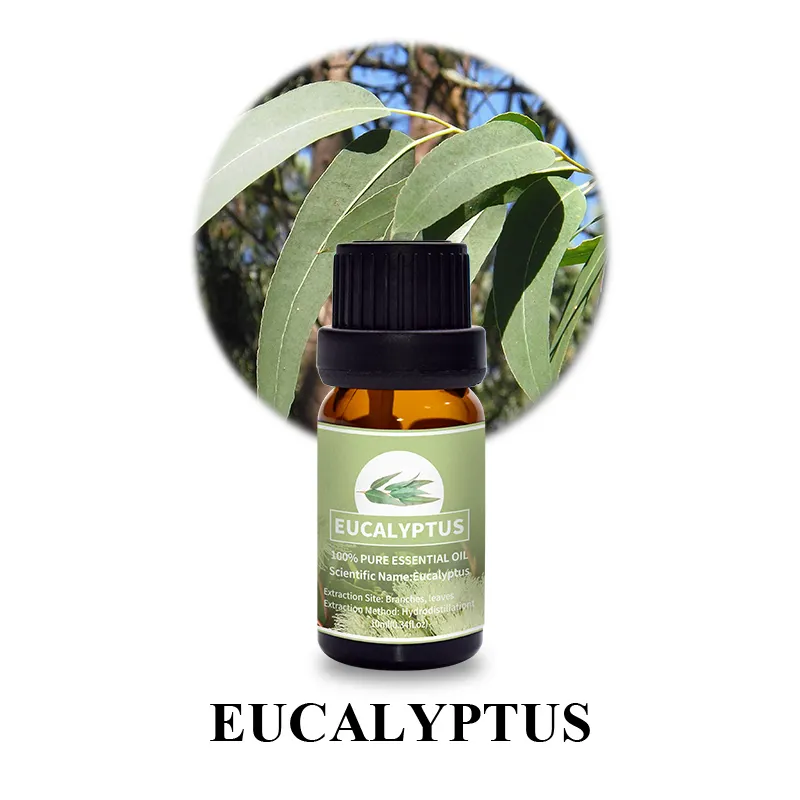 Puraeo best tea tree oil for skin Supply for massage 6