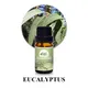 Puraeo best tea tree oil for skin Supply for massage 6