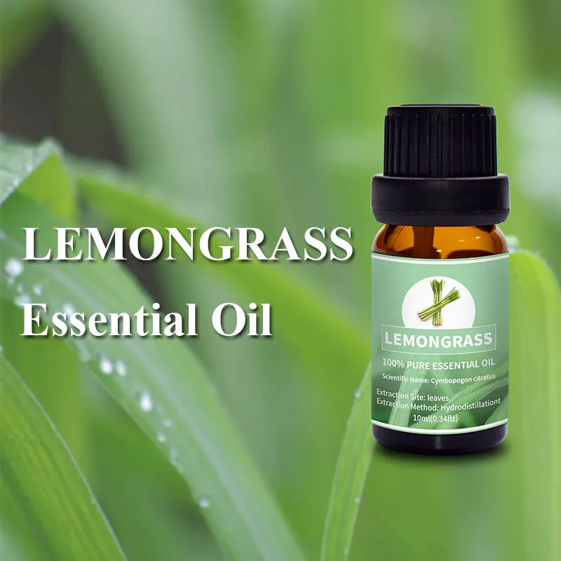 New lemon balm essential oil factory for hair 4