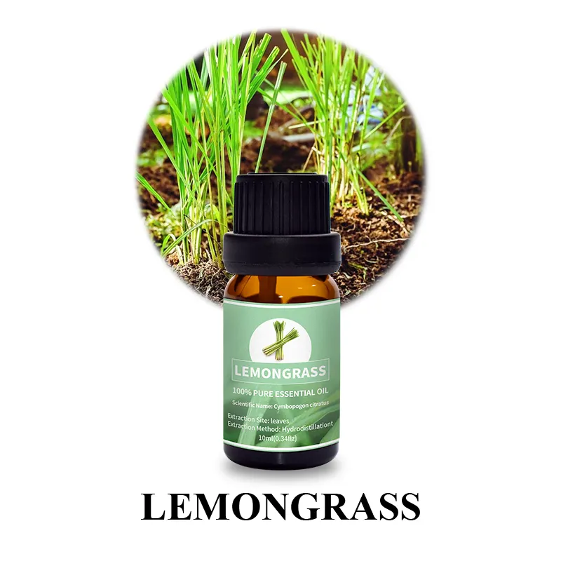 New lemon balm essential oil factory for hair 6