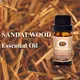 Puraeo tea tree essential oil for face company for massage 6