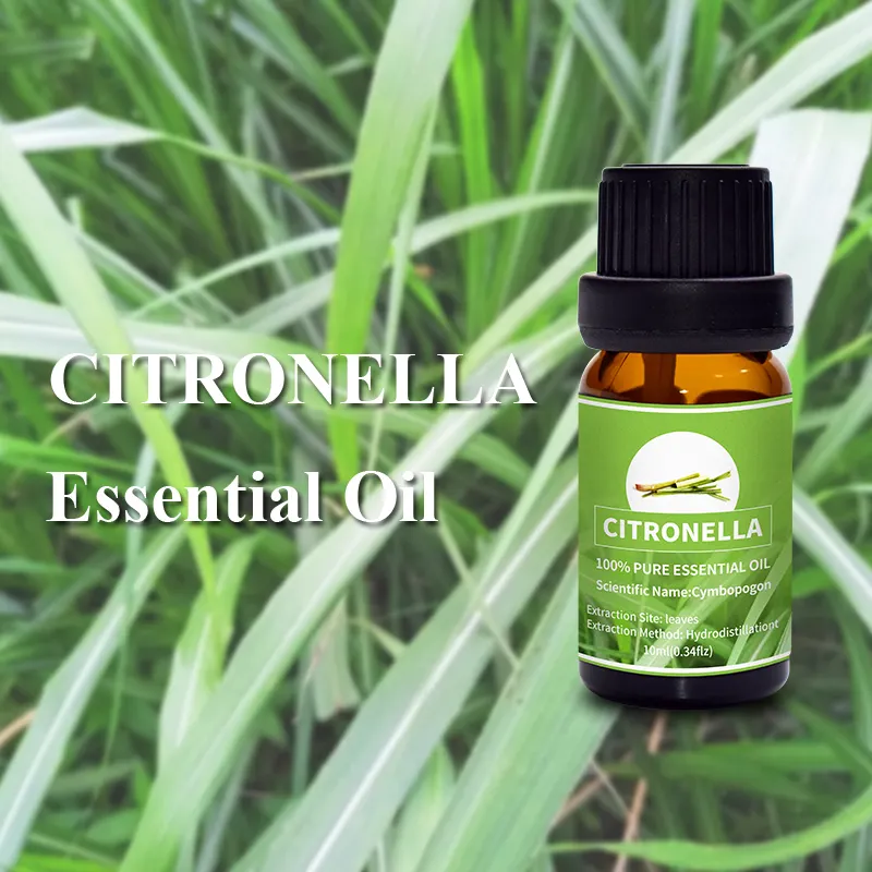Puraeo Custom lavender essential oil for face factory for perfume 5