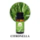 Puraeo Custom lavender essential oil for face factory for perfume 6