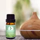 Puraeo Best ginger oil for skin factory for hair 3
