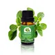 Puraeo High-quality custom essential oils Supply for perfume1 2