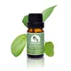 Puraeo carrier oils supplier Supply for perfume 2