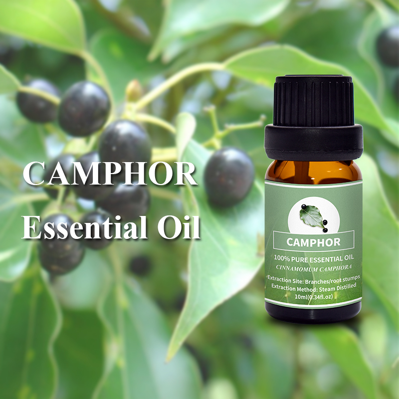 Top ylang ylang massage oil factory for face 6