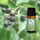 Puraeo carrier oils supplier Supply for perfume 6