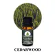 Custom carrier oils supplier for business for perfume1 4