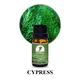 Puraeo lavender essential oil manufacturer Supply for perfume1 5