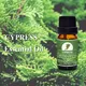 Puraeo lavender essential oil manufacturer Supply for perfume1 6