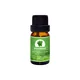 Wholesale organic chamomile oil factory for face 1
