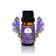 Puraeo carrier oils supplier company for perfume3 4