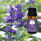 Puraeo carrier oils supplier company for perfume3 7