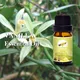 Puraeo custom essential oils factory for massage4 7