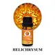 Puraeo Custom carrier oils supplier Suppliers for hair1 3