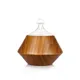 Puraeo Latest aromatherapy diffusers wholesale for business 1