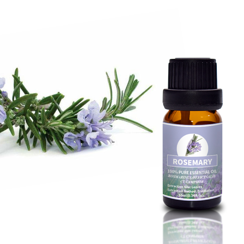 Puraeo Rosemary Camphor Type for Aromatherapy 3