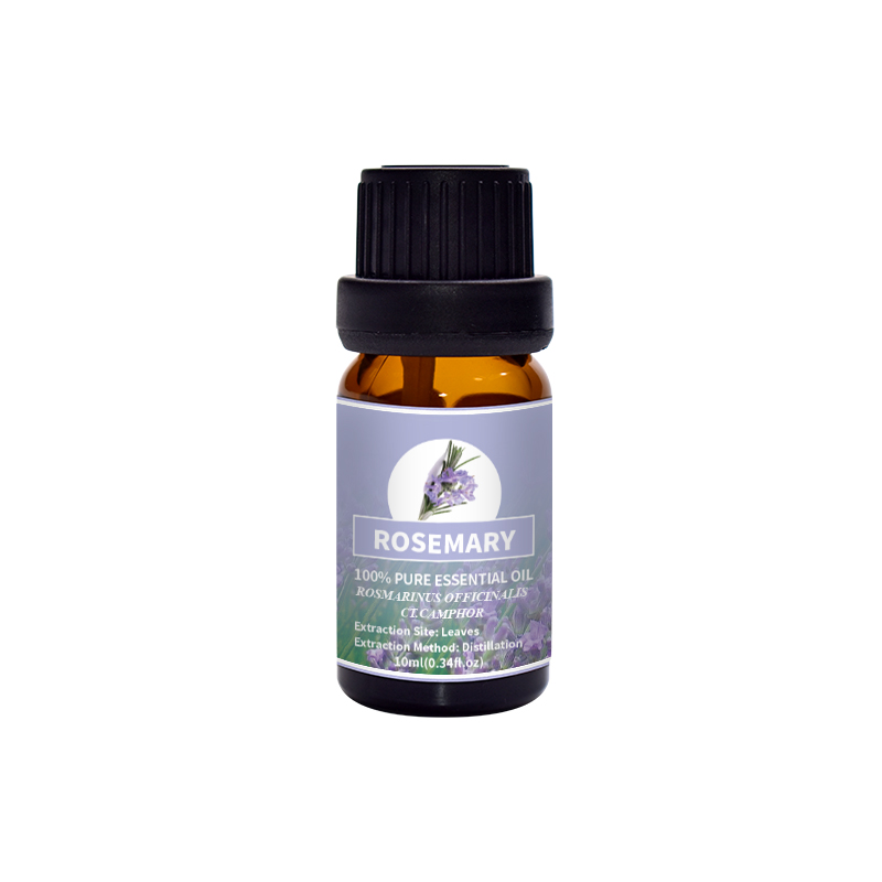 Puraeo Rosemary Camphor Type for Aromatherapy 1