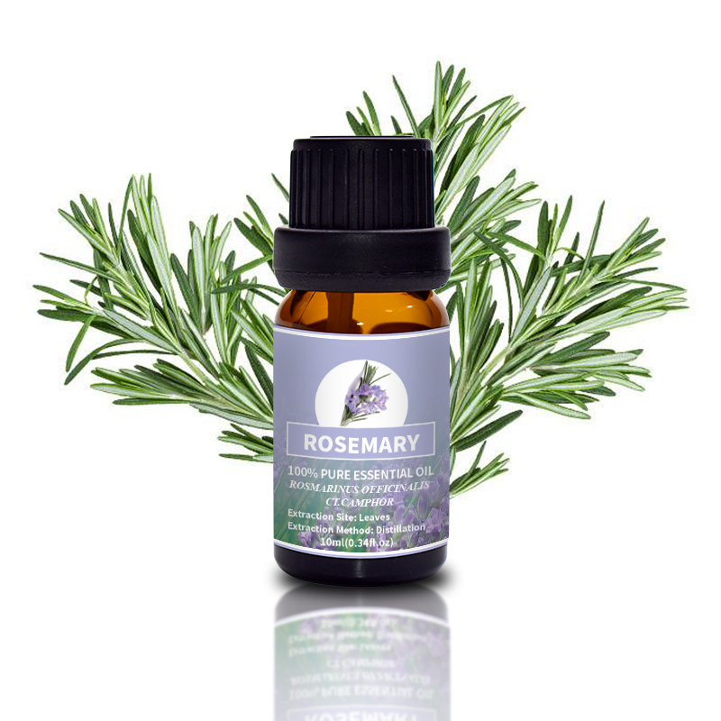 Puraeo Rosemary Camphor Type for Aromatherapy 4