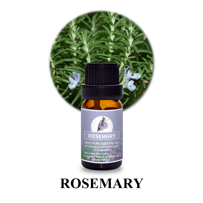 Puraeo Rosemary Camphor Type for Aromatherapy 6